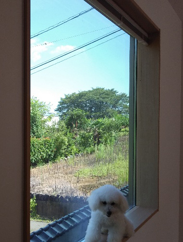 遠くに見える北巨摩の山々、見慣れた畑、細やかな庭の花…自然のちからにはげまされる。目指すのは優しい空間